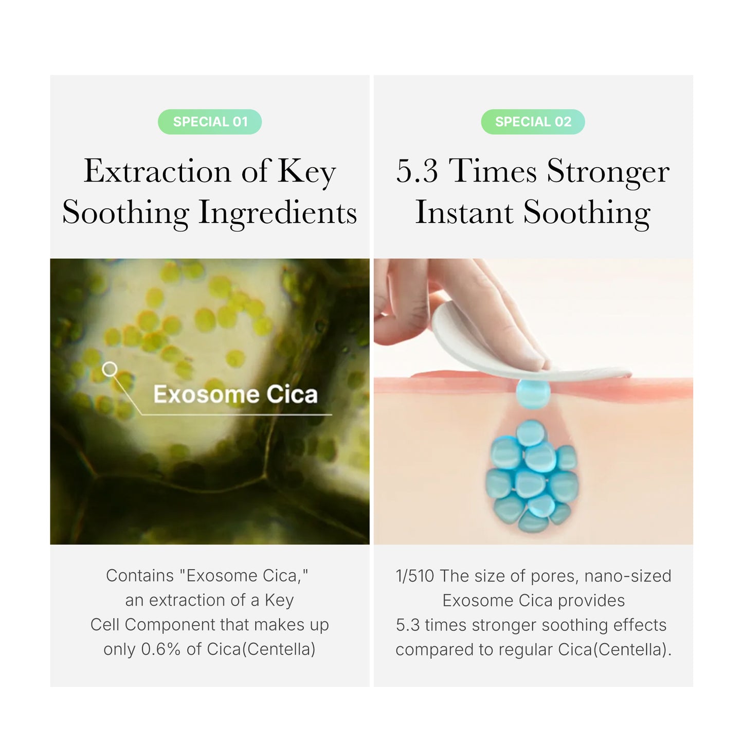 Exosome Cica Calming Toner Pads