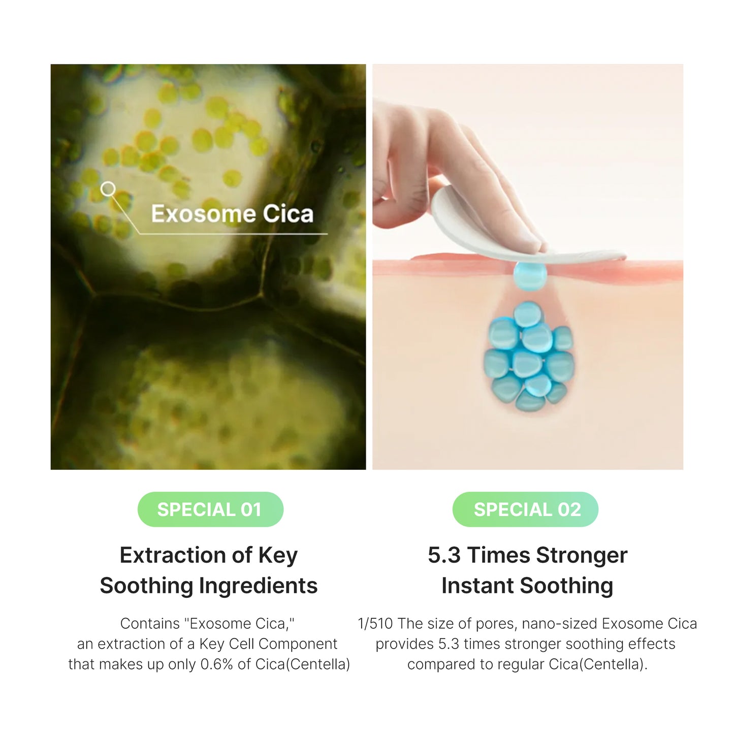 Exosome Cica Calming Toner Pads